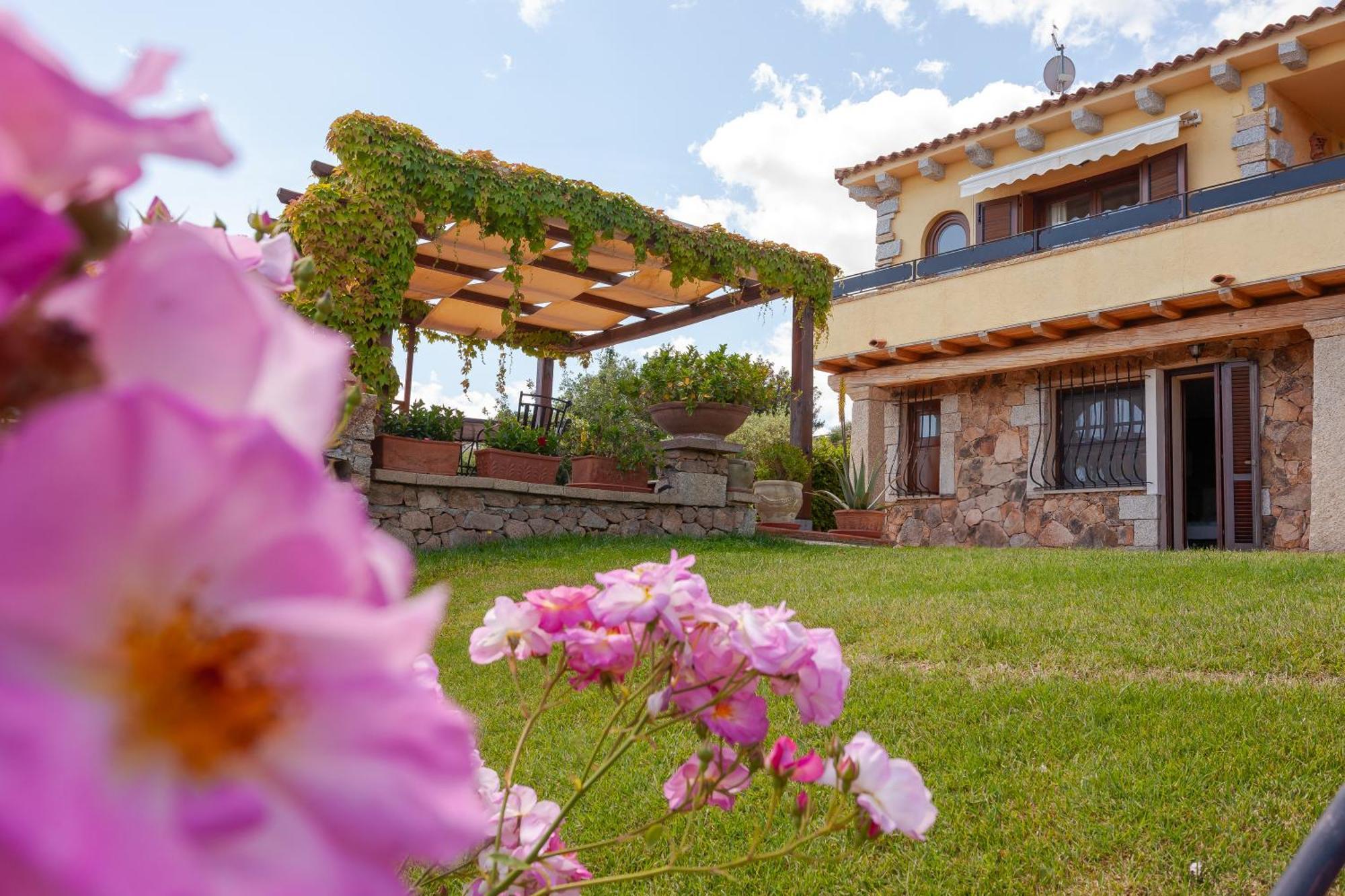 Hotel Domus Francy San Teodoro  Exterior foto